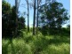 Lot 45 Brauers Road, Mount Maria QLD 4674