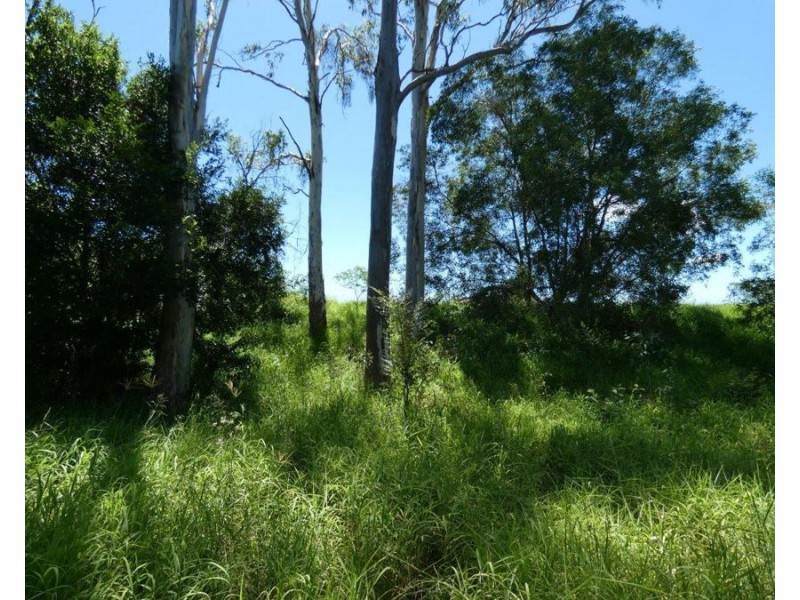 Lot 45 Brauers Road, Mount Maria QLD 4674