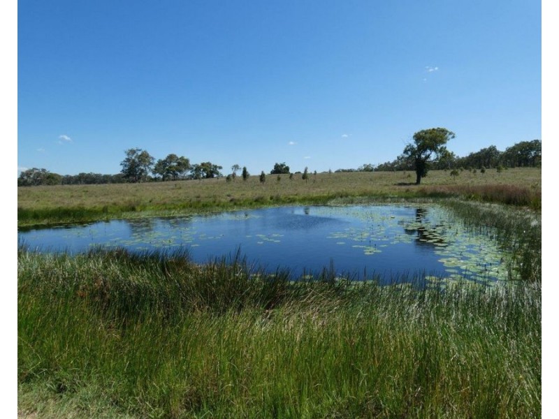 Lot 1 Lowmead Road, Rosedale QLD 4674