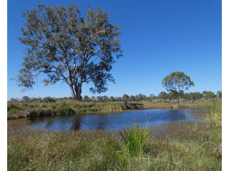 Lot 1 Lowmead Road, Rosedale QLD 4674