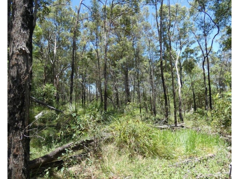 813 Pacific Drive, Deepwater QLD 4674