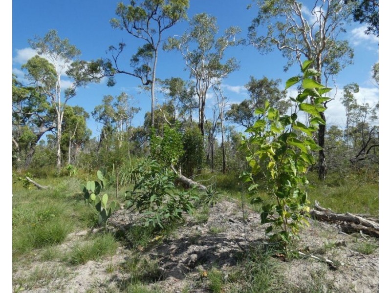 641 Capricornia Drive, Deepwater QLD 4674