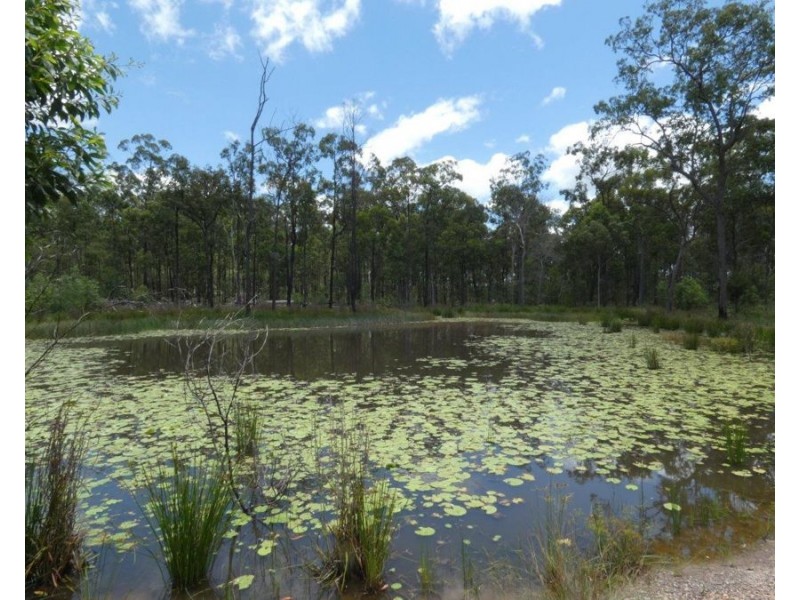 2090 Lowmead Road, Colosseum QLD 4677