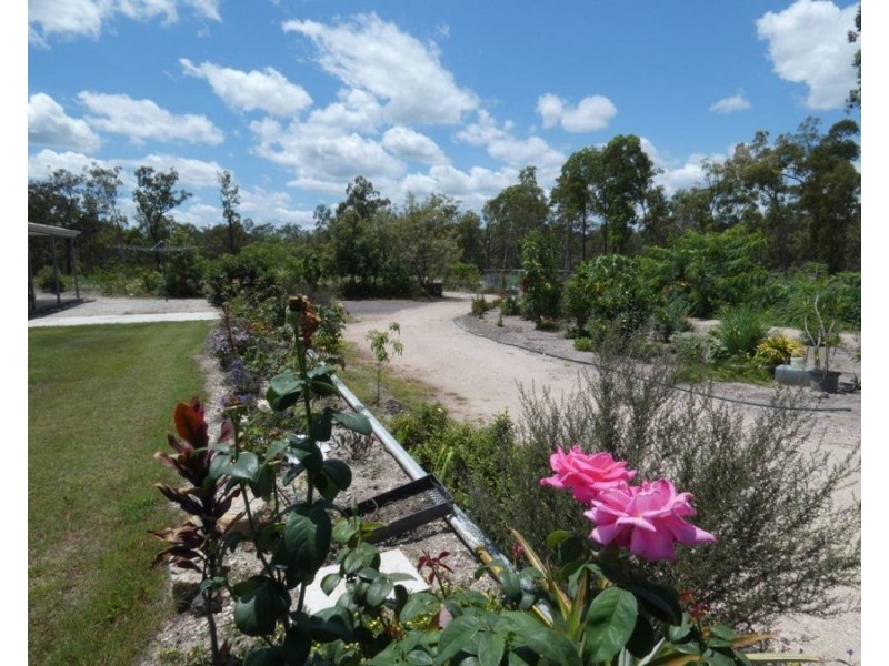 2090 Lowmead Road, Colosseum QLD 4677