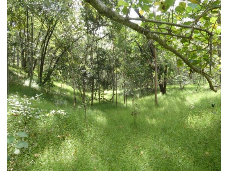 941 Hills Road, Mount Maria QLD 4674