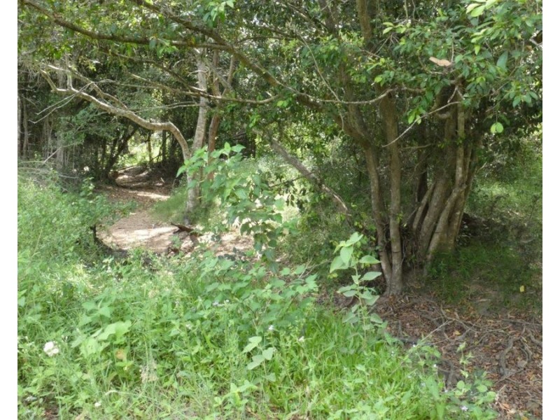 941 Hills Road, Mount Maria QLD 4674