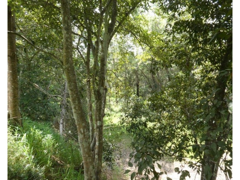 941 Hills Road, Mount Maria QLD 4674