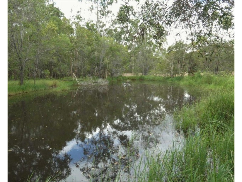 446 Brauers Road, Mount Maria QLD 4674