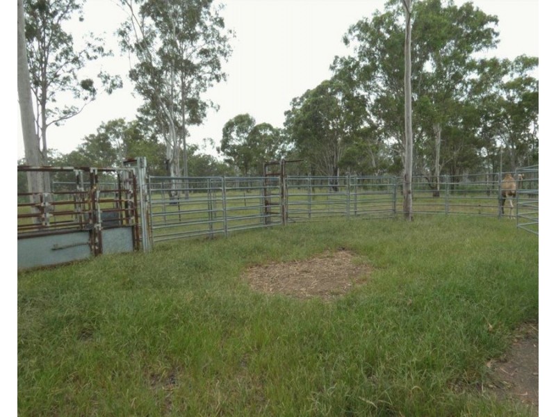446 Brauers Road, Mount Maria QLD 4674