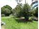 66 Roe Street, Miriam Vale QLD 4677