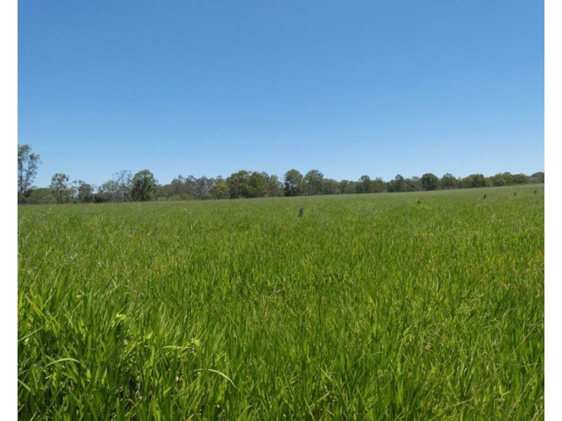 162 Brauers Road, Mount Maria QLD 4674