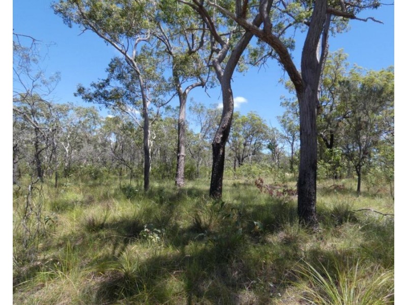 137 Oceania Court, Deepwater QLD 4674