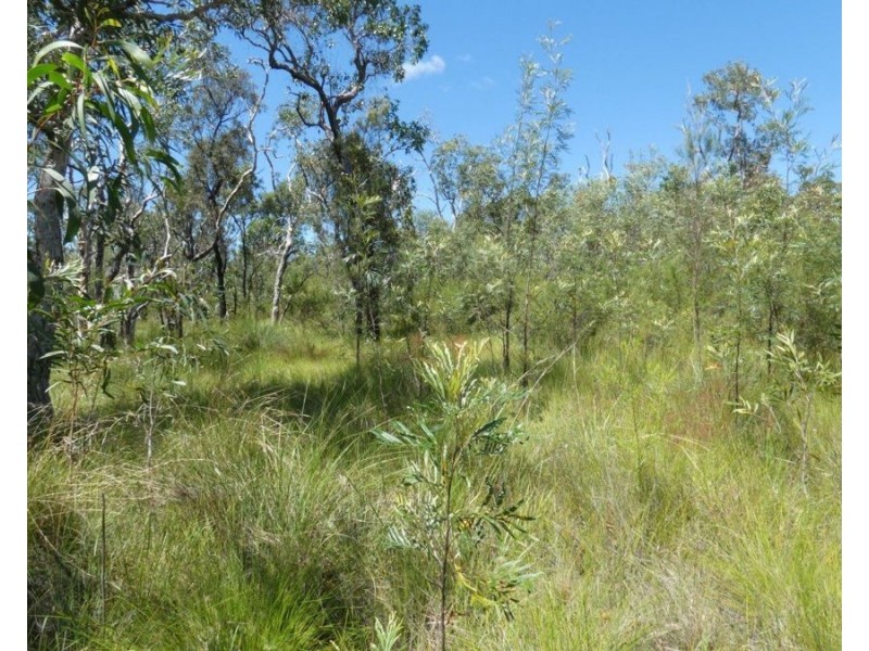 Lot 135 Capricornia Drive, Deepwater QLD 4674