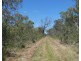 Lot 135 Capricornia Drive, Deepwater QLD 4674