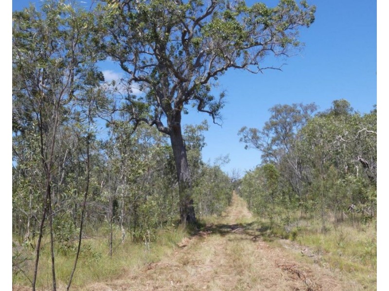 Lot 135 Capricornia Drive, Deepwater QLD 4674