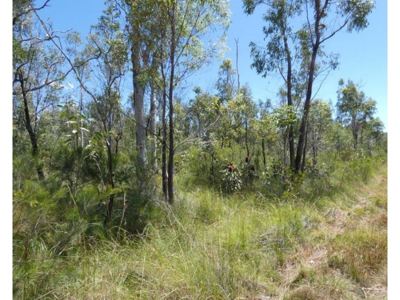 Lot 135 Capricornia Drive, Deepwater QLD 4674