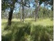 Lot 135 Capricornia Drive, Deepwater QLD 4674