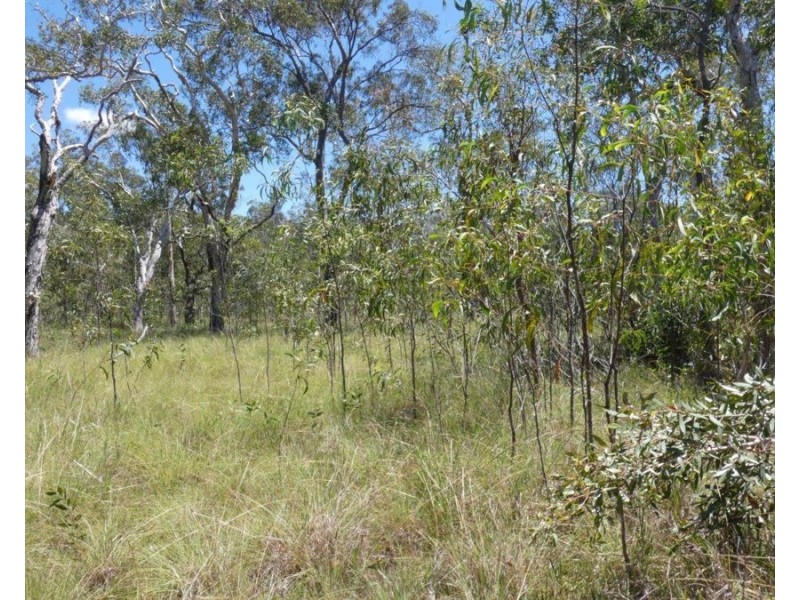 Lot 135 Capricornia Drive, Deepwater QLD 4674