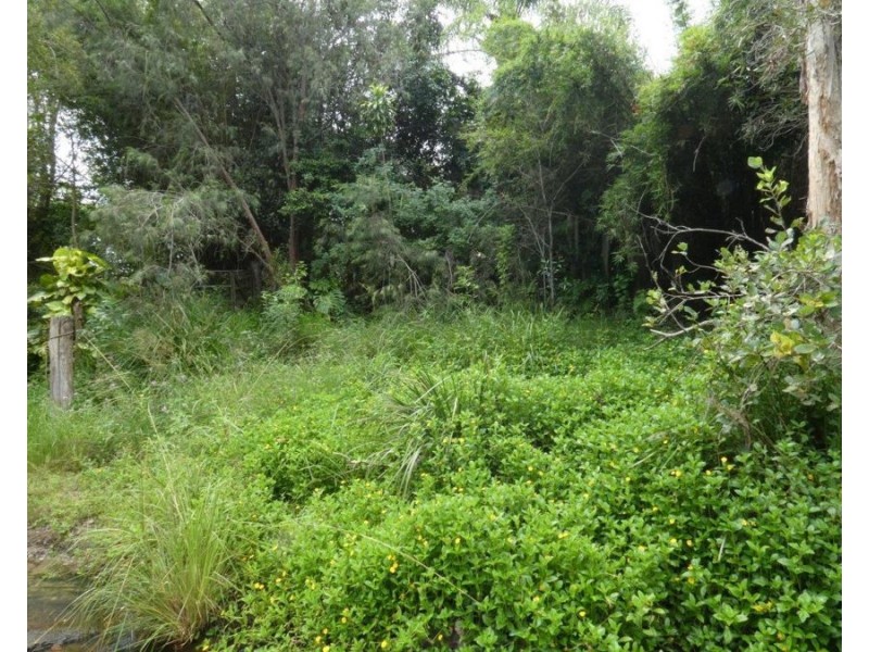 521 Mineral Road, Rosedale QLD 4674