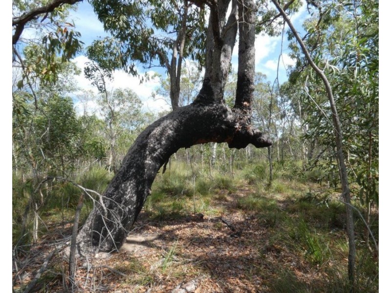 Lot 11 Lindy Drive, Rules Beach QLD 4674