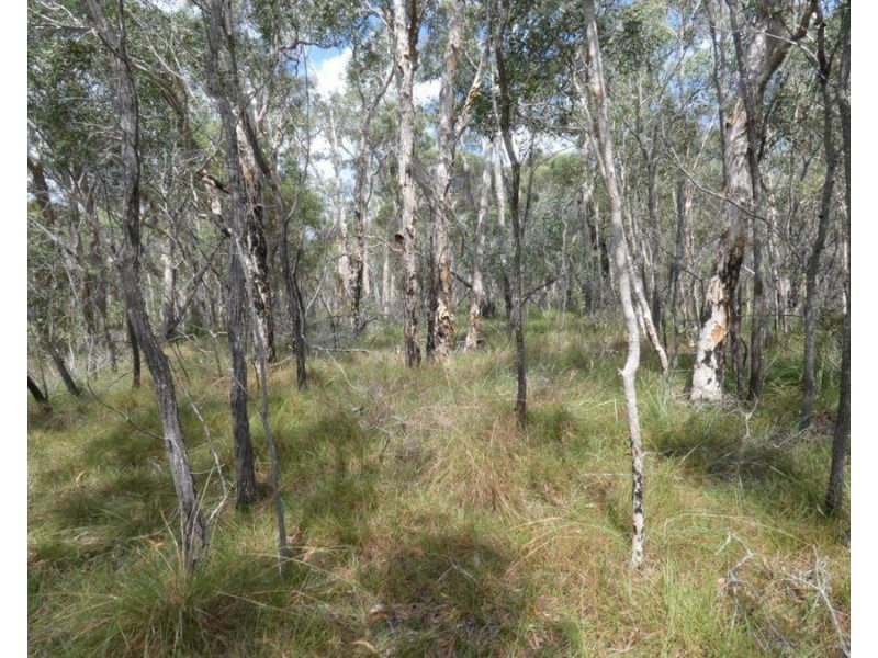 Lot 11 Lindy Drive, Rules Beach QLD 4674