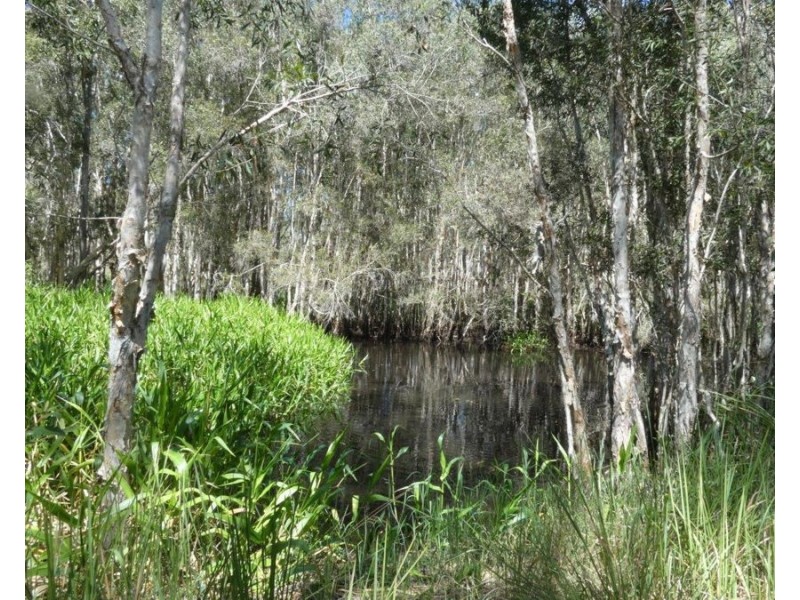 170 Bottle Creek Road, Rosedale QLD 4674