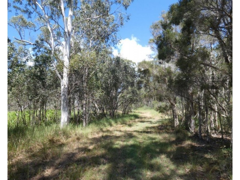 170 Bottle Creek Road, Rosedale QLD 4674