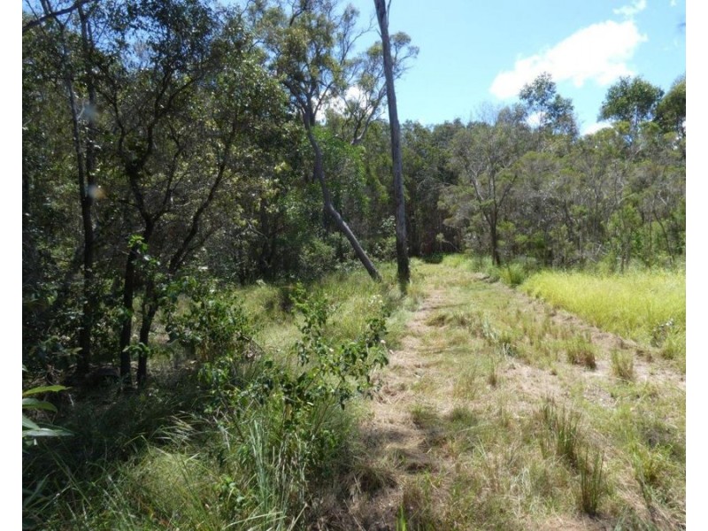 170 Bottle Creek Road, Rosedale QLD 4674