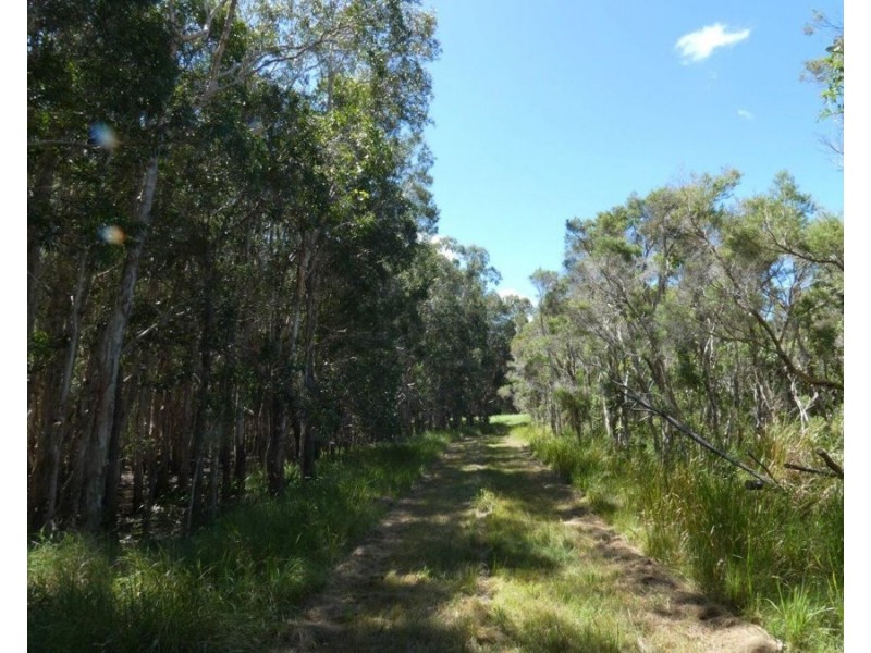 170 Bottle Creek Road, Rosedale QLD 4674