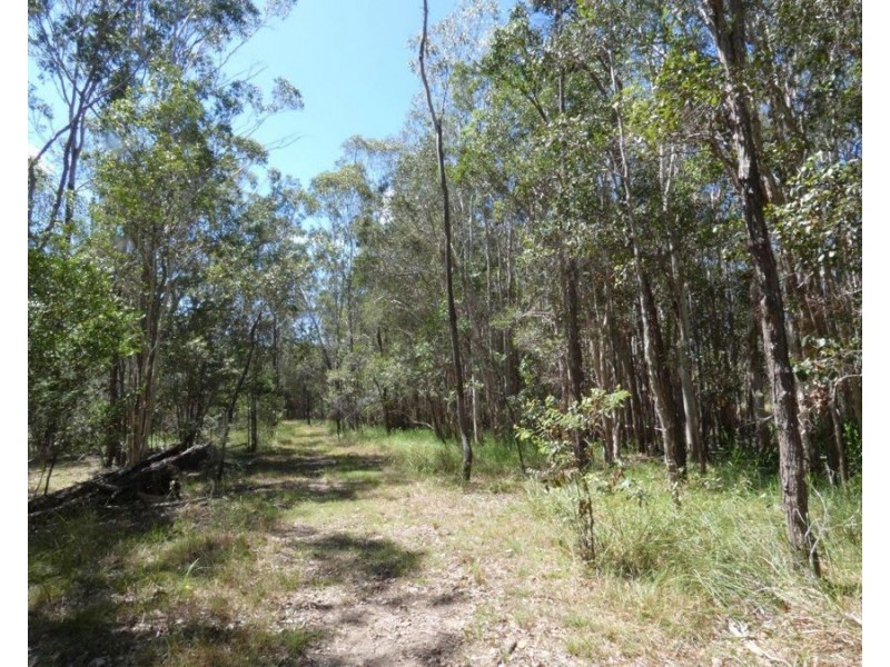 170 Bottle Creek Road, Rosedale QLD 4674