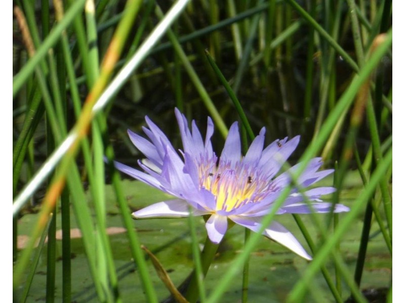 807 Taunton Road, Taunton QLD 4674