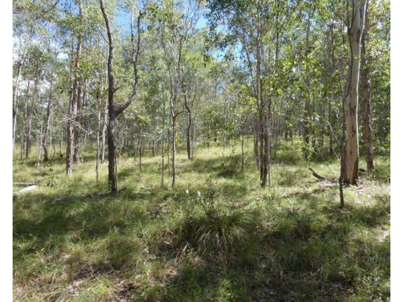 807 Taunton Road, Taunton QLD 4674