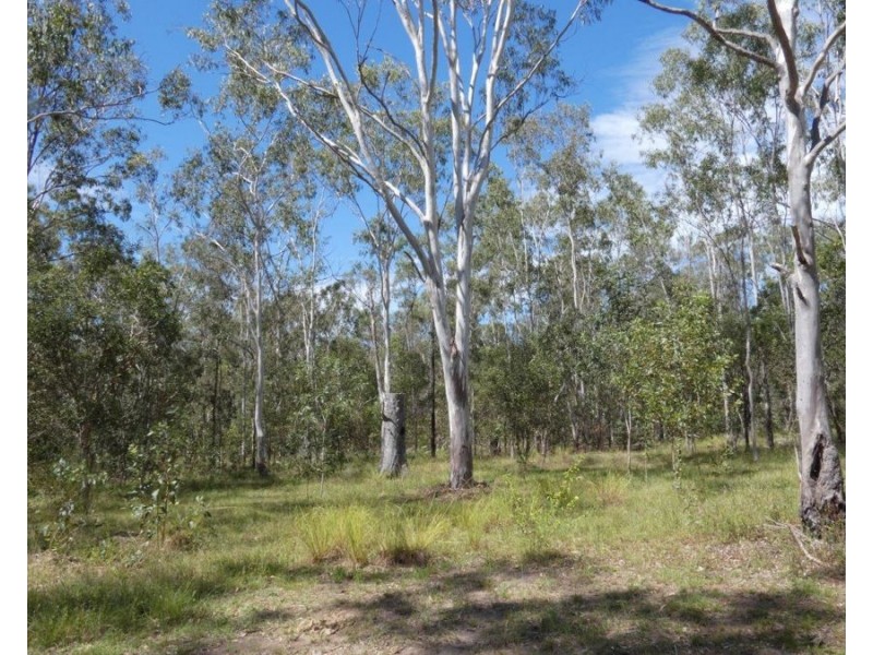 807 Taunton Road, Taunton QLD 4674