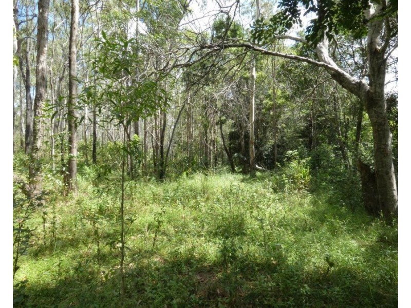 Lot 101 Mollenhagens Road, Rosedale QLD 4674