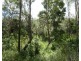 Lot 101 Mollenhagens Road, Rosedale QLD 4674