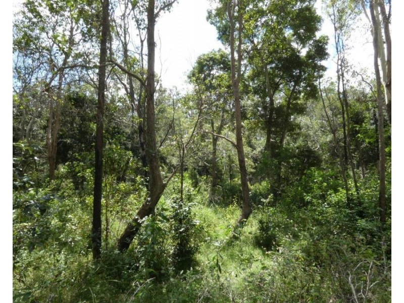 Lot 101 Mollenhagens Road, Rosedale QLD 4674