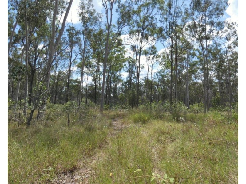 Lot 101 Mollenhagens Road, Rosedale QLD 4674