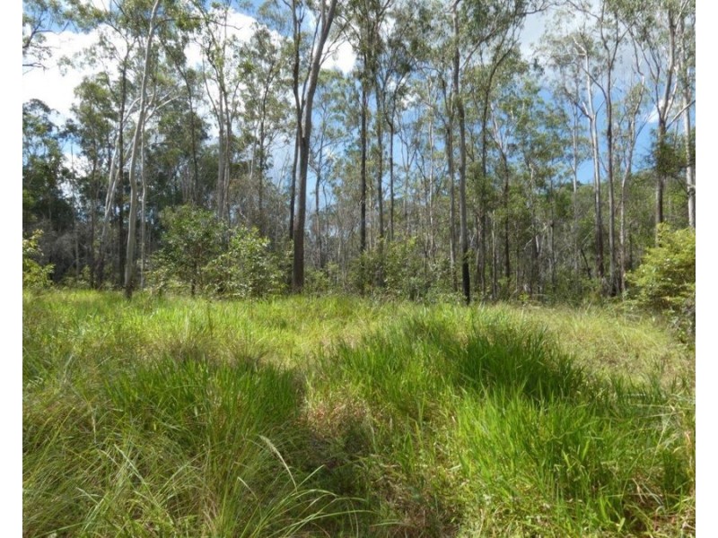 Lot 101 Mollenhagens Road, Rosedale QLD 4674