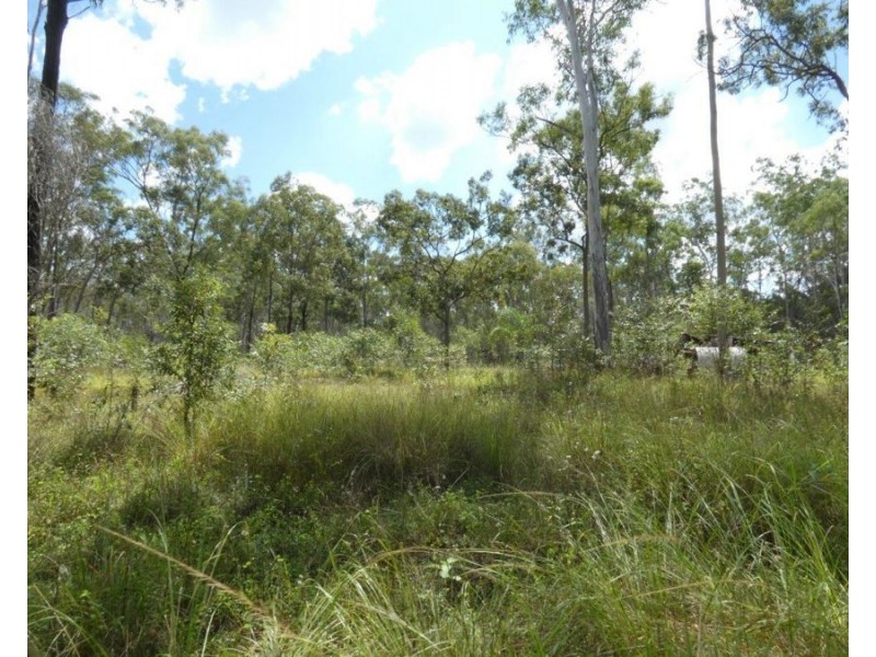 Lot 101 Mollenhagens Road, Rosedale QLD 4674