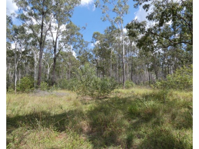 Lot 101 Mollenhagens Road, Rosedale QLD 4674