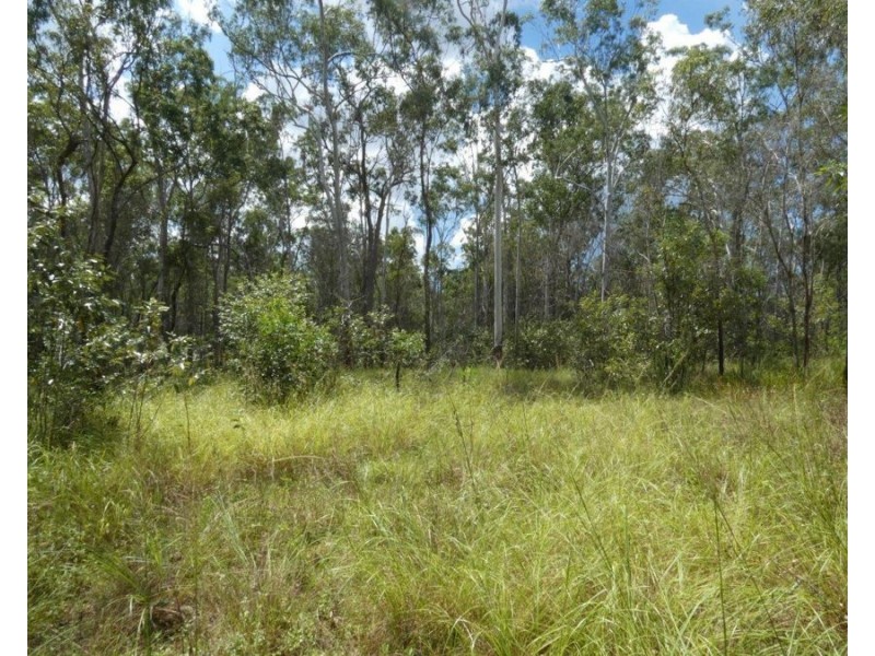 Lot 101 Mollenhagens Road, Rosedale QLD 4674