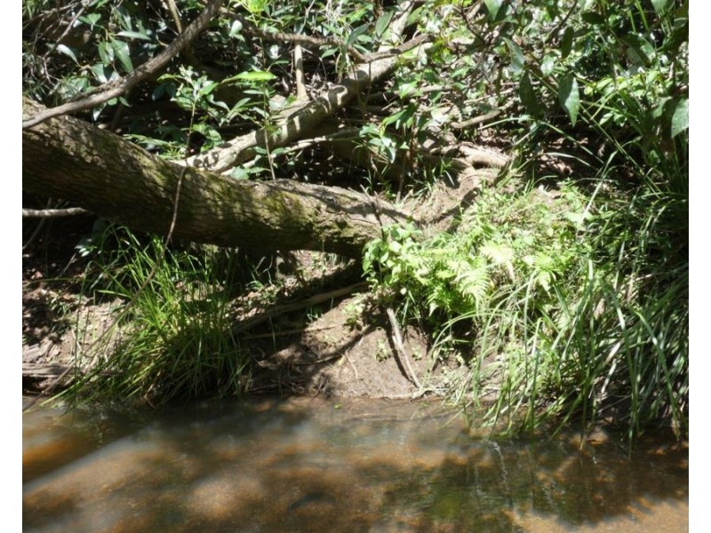 Lot 101 Mollenhagens Road, Rosedale QLD 4674