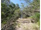 Lot 101 Mollenhagens Road, Rosedale QLD 4674