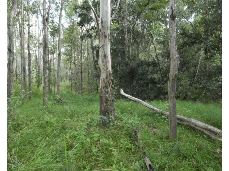 Lot 101 Mollenhagens Road, Rosedale QLD 4674
