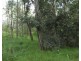 Lot 101 Mollenhagens Road, Rosedale QLD 4674