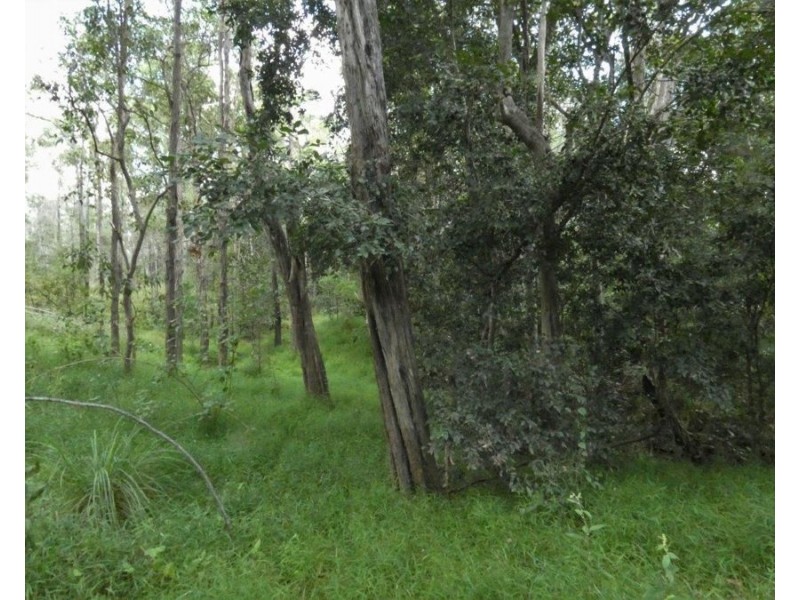 Lot 101 Mollenhagens Road, Rosedale QLD 4674