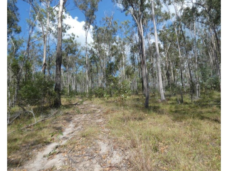 Lot 101 Mollenhagens Road, Rosedale QLD 4674