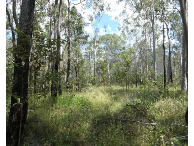Lot 101 Mollenhagens Road, Rosedale QLD 4674