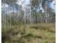 Lot 101 Mollenhagens Road, Rosedale QLD 4674