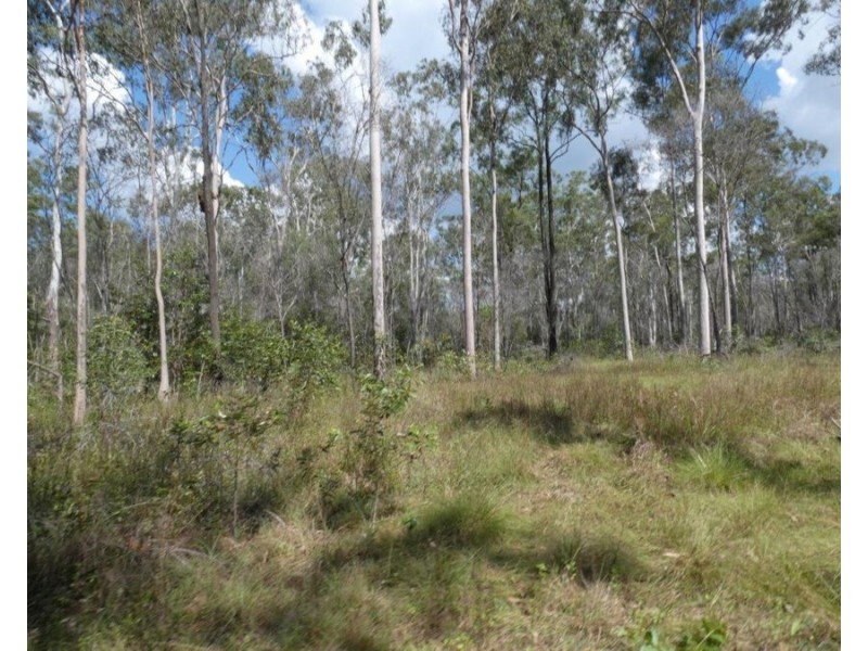 Lot 101 Mollenhagens Road, Rosedale QLD 4674